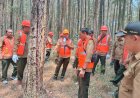 Upaya Peningkatan Produksi, Perhutani Pasuruan Sosialisasikan Sadapan Getah Pinus